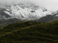DSCN4660  New snow, wet veg