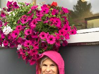 IMG 1765  Meanwhile the rest of the crew is exploring Arosa town