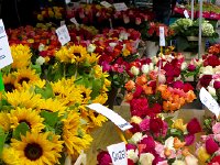 IMG 9878  Flowers à go go