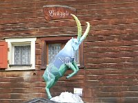 DSCN4676  Grison mascot