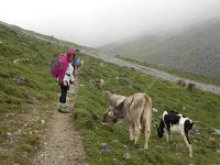 DSCN4699  Climbing here toward the pass