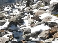 20150907 115343  Rime art