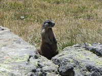 DSCN4773  Looking for a handout?