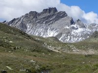 DSCN4787  Startling prospects