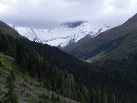 DSCN4797  Afternoon light