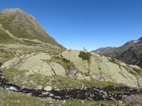 IMG 0054  Leo taking a break