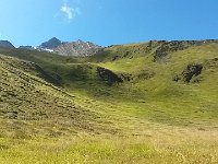 20150908 110501 Richtone(HDR)  Getting above the trees