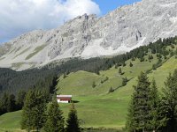 DSCN4869  Late afternoon near treeline