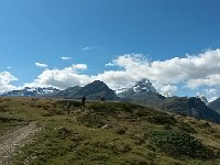 20150909 131421 Richtone(HDR)  Alp Flix