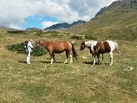 20150909 131508 Richtone(HDR)  Let&#39;s say hello