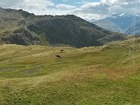 20150909 151435 Richtone(HDR)  Wetland