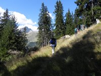 DSCN4886  through the woods