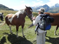 DSCN4890  Very close now