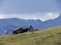 DSCN4904  Getting the once over