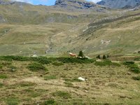 IMG 0189  Oh, I see horses!