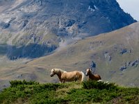 IMG 0208  Even closer