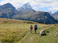 IMG 0212  Coming in for lunch