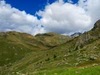 IMG 0252  From whence will come eventually the Plan B&#39;ers