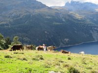 IMG 0260  Christine, cowz and lake