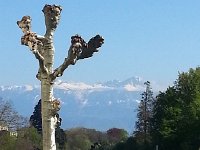 20160419 162653  19 April Dent d&#39;Oche