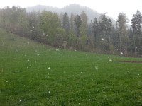 20160424 161836  Snow up higher on le Cubly