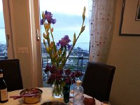 20160426 194734  26 April - irises, lilacs and dinner