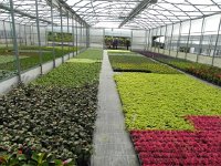 DSCN6266  All for the city&#39;s gardens