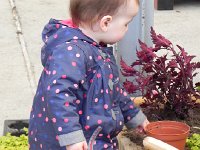 DSCN6284  Could be Val!!