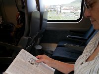 20160416 153346  On the train to Morges