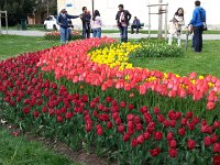 20160416 165233  A kinds of people