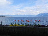 DSCN6139  The lake and the flowers