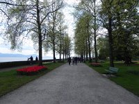 DSCN6151  Along the lake