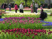 DSCN6157  Cellphone cameras getting a workout