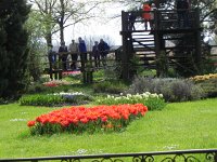 DSCN6159  An ersatz stream