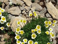 20160828 142801  but if one looked down...