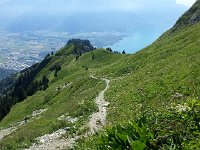 20160803 162302  Trail up Rochers de Naye