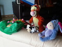 20160827 115652  A big find down at Galétas