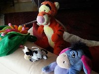20160827 115712  Eeyore, Tigger and friends
