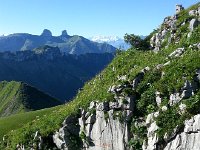 20160807 092535  Dropping off the R de N ridge, with all the steps in front of me