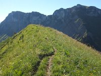 20160807 095058  ridge above les Essettes with the Pointe d&#39;Aveneyre beyond