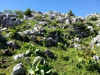 20160807 110809  the oddly eroded limestone