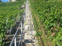 20160807 185708  These looked a bit more daunting...