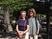 IMG 0119  No shadows