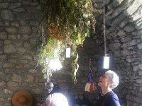 IMG 0146  herbs drying