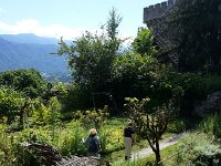 IMG 0159  Herb garden