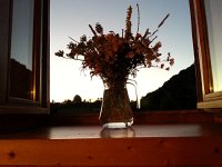 IMG 0089  Last light