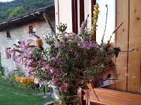 IMG 0098  Bouquet gathered from the fields around by Robin