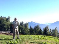 IMG 0201  Below tree line