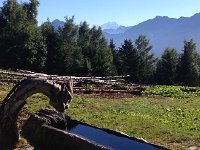 IMG 0217  Gargoyle and Mont Blanc