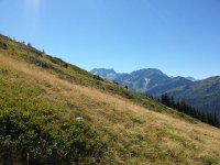 IMG 0334  an abandonned ski area